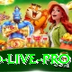 Pakistan Casino - Live Pro